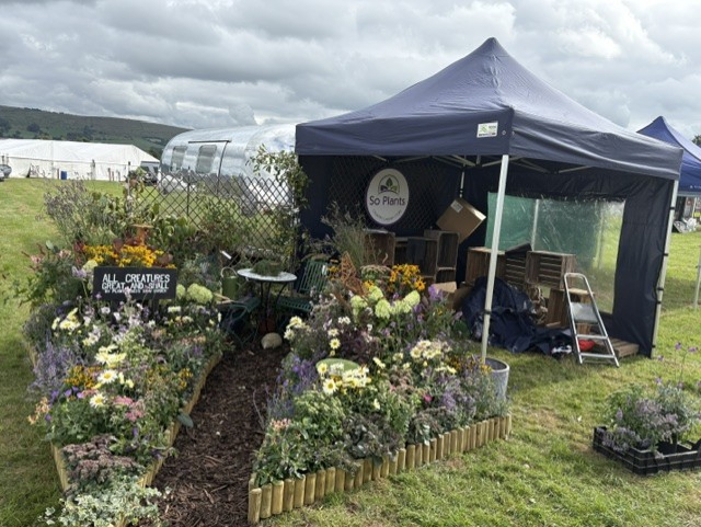 Chipping Show Trade Stand Show Plants